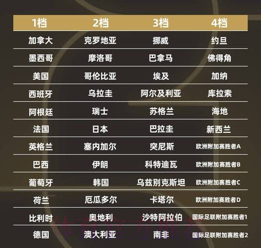 世界杯强队排名最新